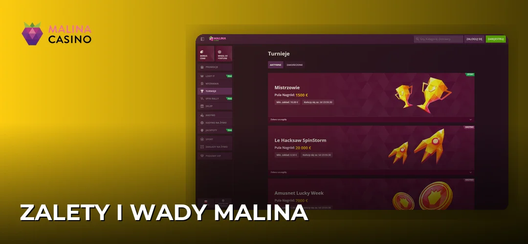 Zrzut ekranu strony Malina