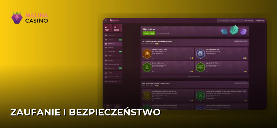 Zrzut ekranu strony Malina