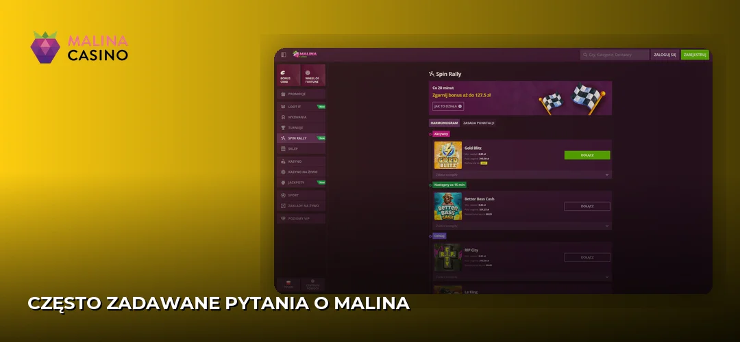 Zrzut ekranu strony Malina