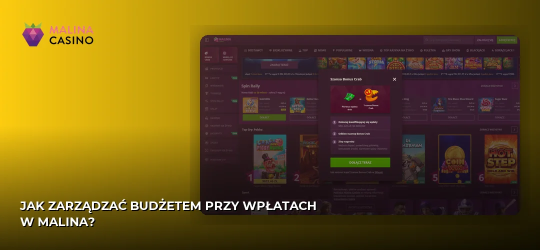 Zrzut ekranu strony Malina